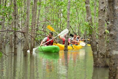 Damas Island Mangrove Kayaking Tour from Manuel Antonio - Hotel pickup and Tucanes Tours: how the day really starts