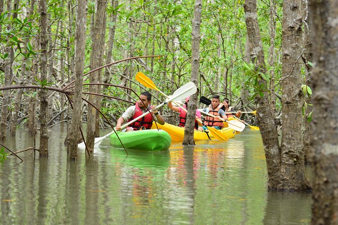 Damas Island Mangrove Kayaking Tour from Manuel Antonio - Hotel pickup and Tucanes Tours: how the day really starts