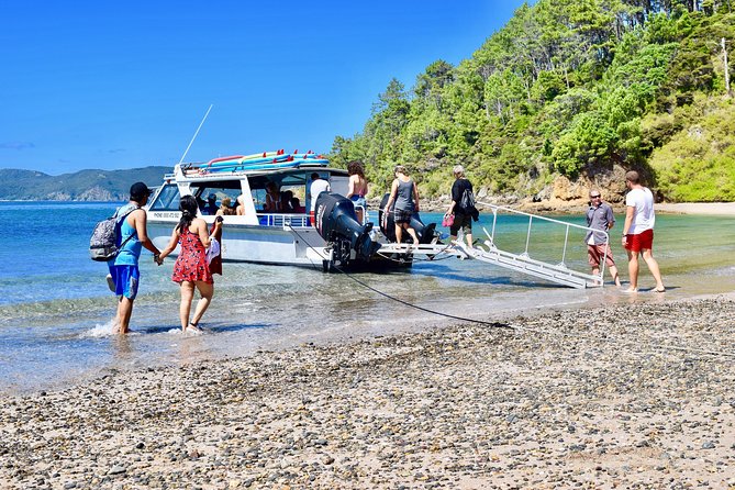 Day Cruise & Island Tour - Snorkel/Wildlife/Paddleboard/Islands - Key highlights worth knowing