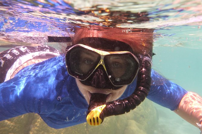 Day Cruise & Island Tour - Snorkel/Wildlife/Paddleboard/Islands - Why this Bay of Islands island tour feels like the right length