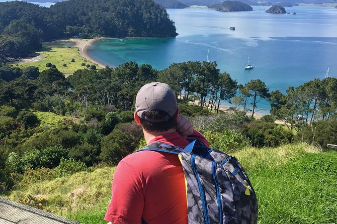 Day Cruise & Island Tour - Snorkel/Wildlife/Paddleboard/Islands - Snorkeling and SUP: included gear, sheltered spots, and real sea life odds