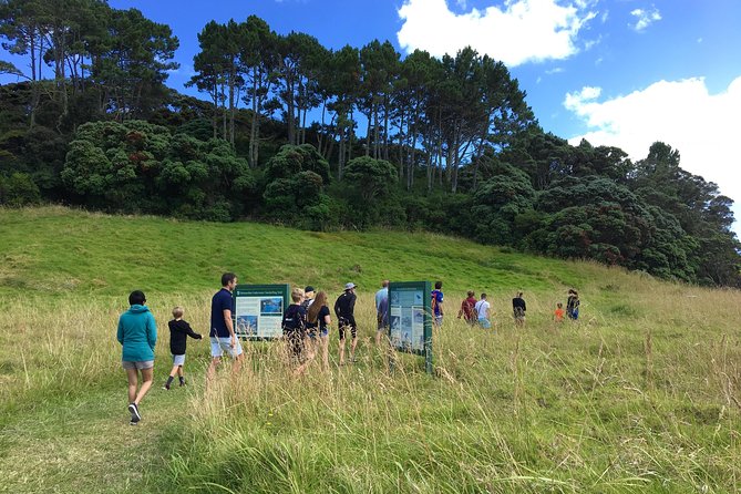 Day Cruise & Island Tour - Snorkel/Wildlife/Paddleboard/Islands - Second island choice: Urupukapuka-area stops and the wind factor