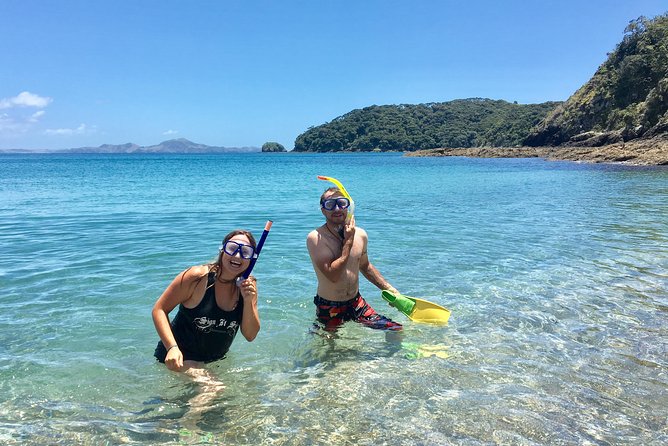 Day Cruise & Island Tour - Snorkel/Wildlife/Paddleboard/Islands - Dolphins and wildlife: how to think about it (without disappointment)