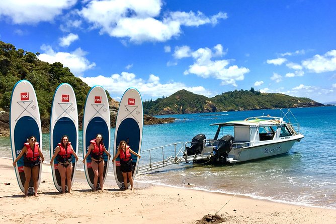 Day Cruise & Island Tour - Snorkel/Wildlife/Paddleboard/Islands - What the small-group crew does differently