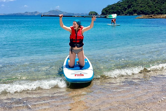 Day Cruise & Island Tour - Snorkel/Wildlife/Paddleboard/Islands - Price and value: is $89.98 worth it?