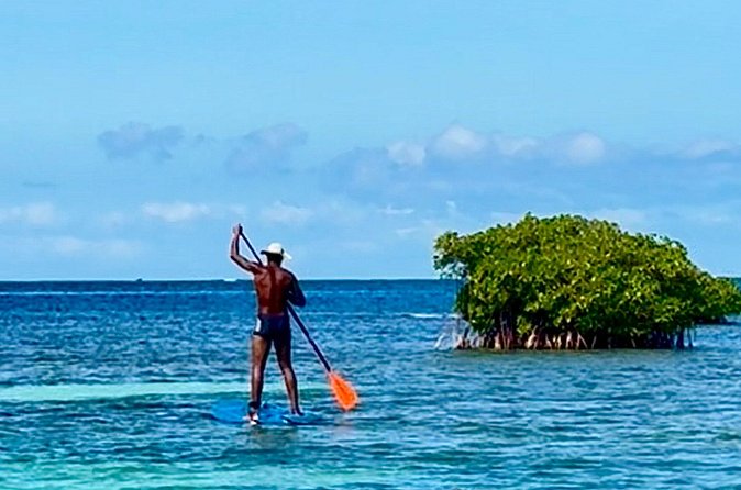 Day Lagoon 100% Sailing stops Snorkelling Paddle - On-board comfort: awnings, toilet setup, and what’s actually included