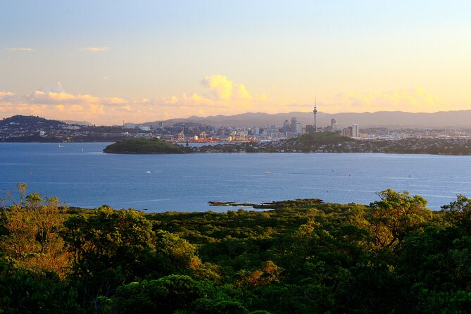 Day sea kayak tour Rangitoto Island - The Rangitoto summit hike: steep enough to feel it, worth it when you reach the top