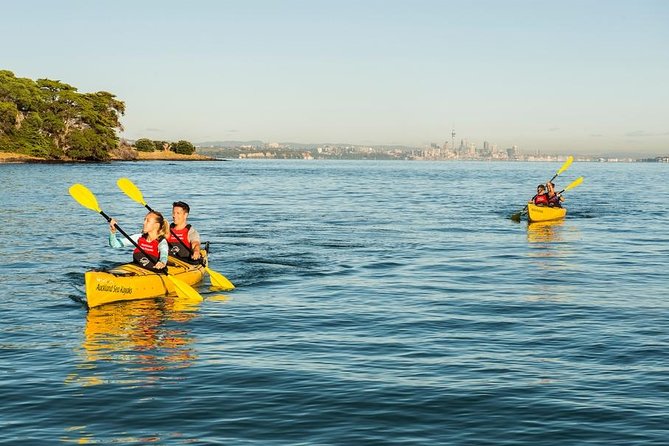 Day sea kayak tour Rangitoto Island - Value in real terms: is $152.04 a good deal?