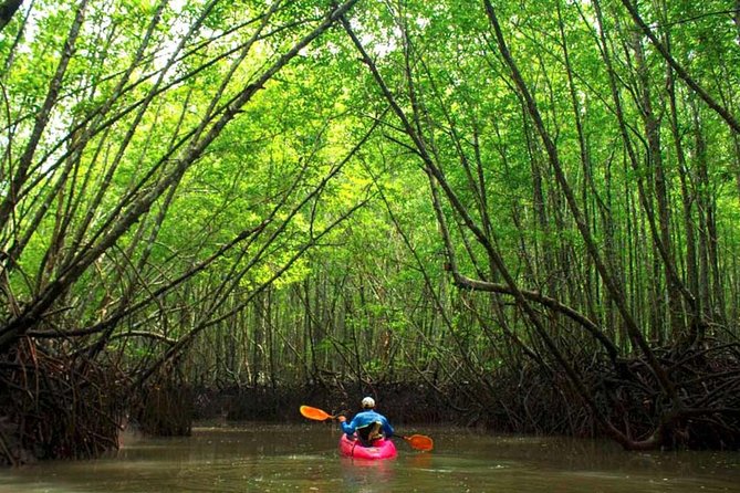 Deep Mangrove and Canyon Kayak Tour in Krabi - Why this Krabi Mangrove Kayak Tour Feels Different Than Big-Boat Nature Tours