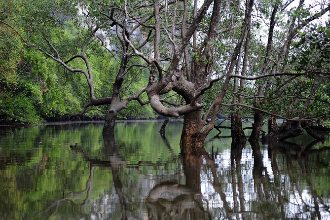 Deep Mangrove and Canyon Kayak Tour in Krabi - Stops Along the Way: Break Moments That Make the Paddle Worth It