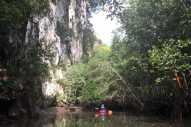 Deep Mangrove and Canyon Kayak Tour in Krabi - The First Stretch: Canyon and Lagoon Water You’ll Actually Feel