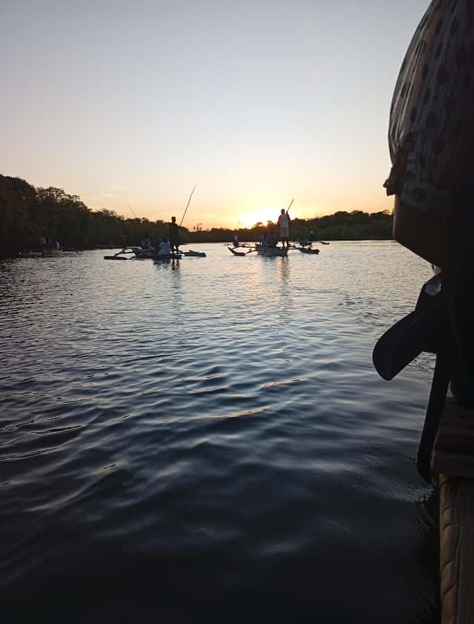 Diani Beach: Kongo River Sunset Experience in a canoe - Bird watching on the Kongo River: more than spotting something