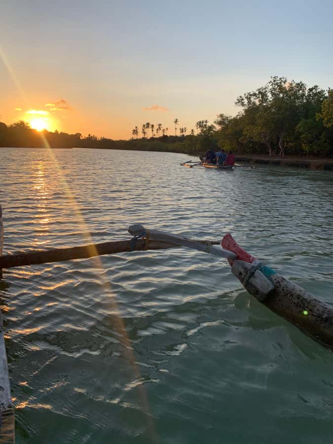 Diani: Sunset Canoe Tour along the River with Mangroves - Key Things I’d Bet You’ll Like