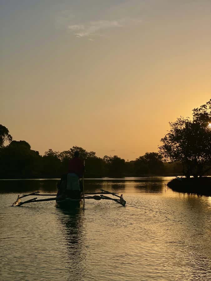 Diani: Sunset Canoe Tour along the River with Mangroves - Kongo River Beach Guided Tour: Where the Birdlife Gets Noticed