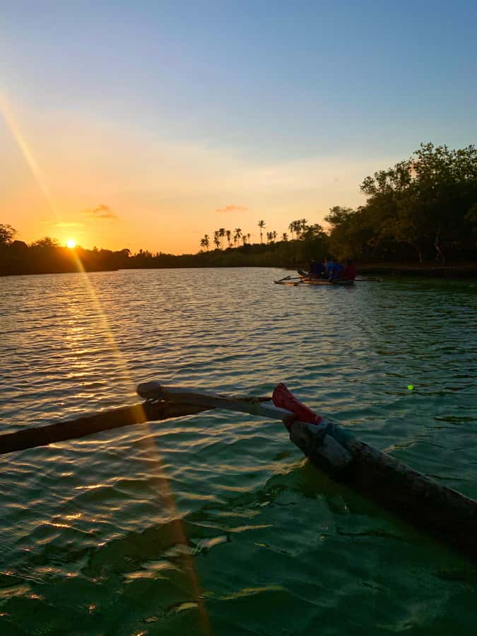 Diani: Sunset Canoe Tour along the River with Mangroves - What’s Not Included (and Why It Changes Your Planning)