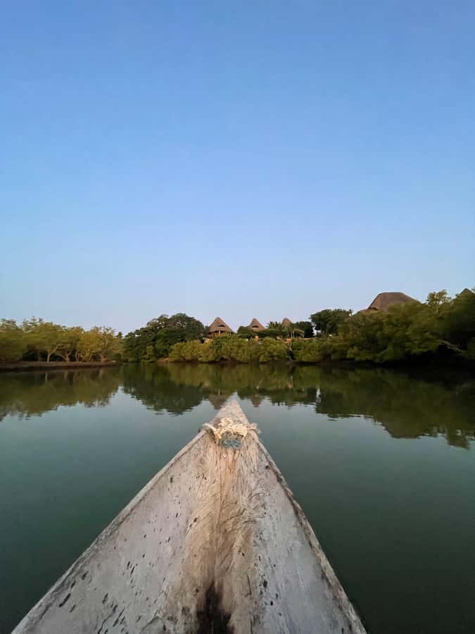 Diani: Sunset Canoe Tour along the River with Mangroves - Who This Tour Fits Best in Diani