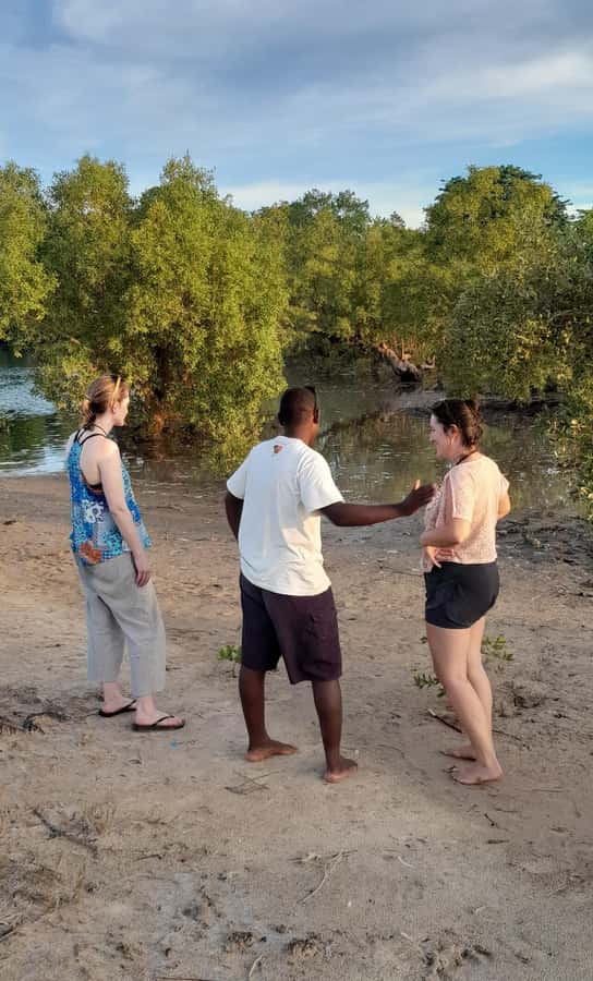 Diani: Sunset Cruise along Kongo River on Wooden Canoe boat - Upstream canoeing through mangroves: where the birds show up
