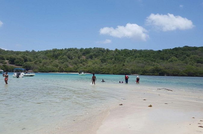 Discover the islands in the bay of Le Robert - Kayak rental half day - Who this is best for (and who should rethink it)