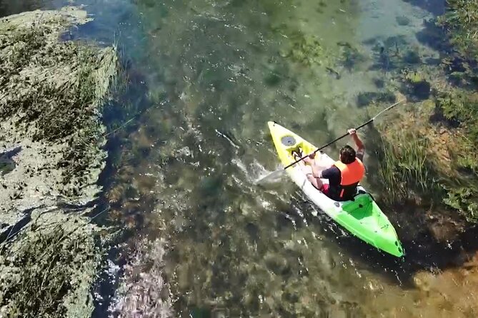 Discovery Kayak Adventure: Magical river experience near Mostar - Stop 2: Bunica boating, birds in migration season, and the Great Heron chance