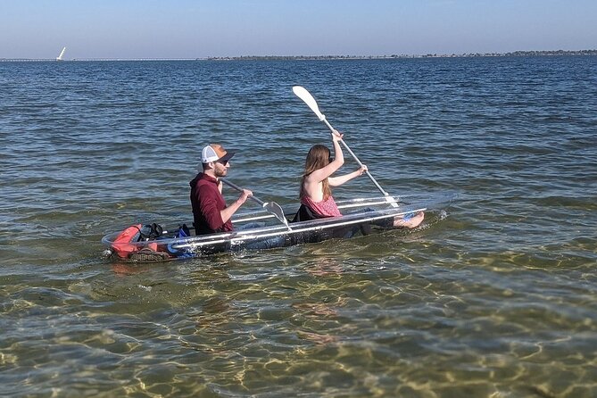 Dolphin and Manatee Clear Kayak or Paddleboard Tour - Clear Kayaks and Sunset LEDs: Seeing Dolphins Up Close (Without Stress)