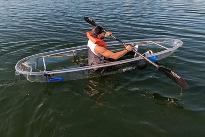 Dolphin and Manatee Clear Kayak or Paddleboard Tour - Kayak vs SUP in Clear Water: Choosing What Fits Your Comfort
