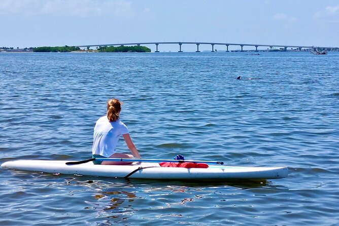 Dolphin and Manatee Clear Kayak or Paddleboard Tour - Meeting Point and Timing: Making Sure You Don’t Start Late
