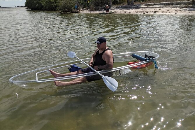 Dolphin and Manatee Clear Kayak or Paddleboard Tour - Who Should Book This (and Who Should Think Twice)