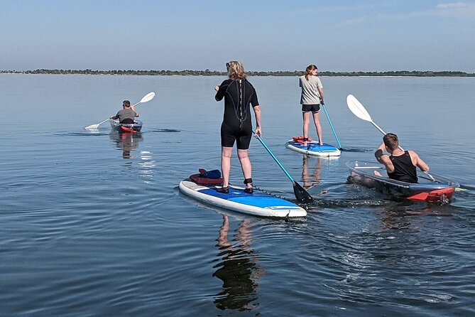 Dolphin and Manatee Clear Kayak or Paddleboard Tour - Should You Book This Clear Kayak or SUP Dolphin Tour?