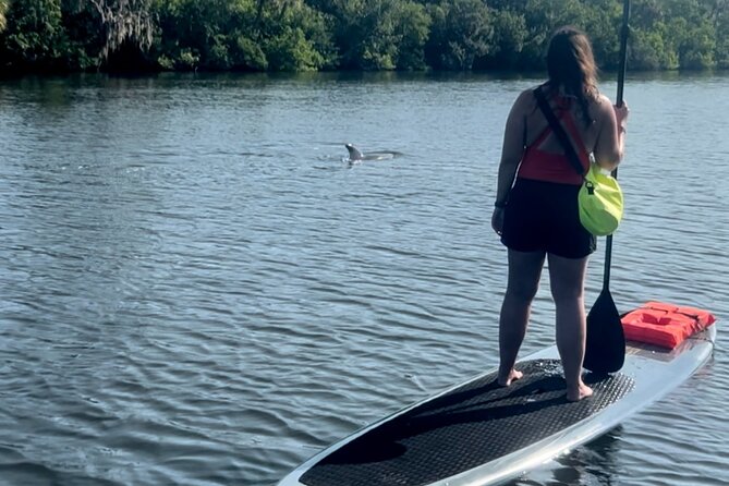 Dolphin and Manatee Kayak and SUP Adventure Tour of Cocoa Beach - Paddling the Banana River in Cocoa Beach: what this tour feels like
