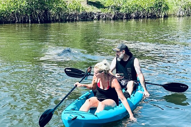 Dolphin and Manatee Kayak and SUP Adventure Tour of Cocoa Beach - Price and value: is $65 a fair deal for Cocoa Beach kayaking/SUP?