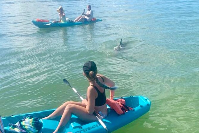 Dolphin and Manatee Kayak Tour of Daytona Beach - Key highlights at a glance