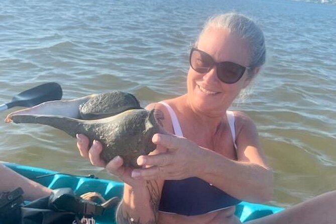 Dolphin and Manatee Kayak Tour of Daytona Beach - Two hours afloat: timing, pace, and what “small group” means