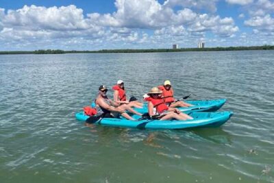 Dolphin and Manatee Kayak Tour of Daytona Beach - Gear and safety: what’s included and how to think like a paddler
