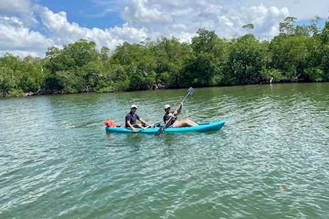 Dolphin and Manatee Kayak Tour of Daytona Beach - Weather and wildlife reality checks (read this before you go)