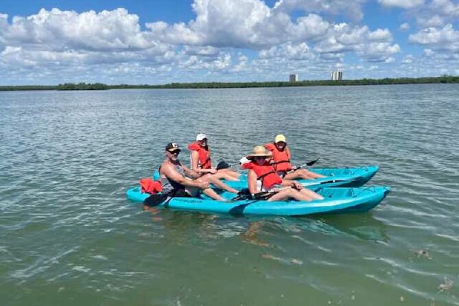 Dolphin and Manatee Kayak Tour of Daytona Beach - Gear and safety: what’s included and how to think like a paddler