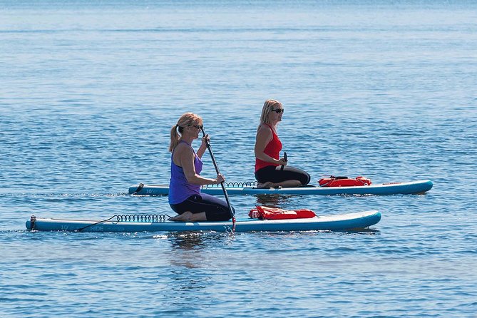 Dolphin and Manatee Stand Up Paddleboard Tour in Daytona Beach - The route you’ll paddle: island loop, seven bridges, and canal cruising