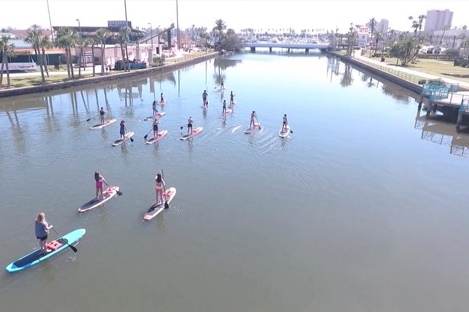Dolphin and Manatee Stand Up Paddleboard Tour in Daytona Beach - Wildlife expectations: what “manatee and dolphin rich” really means
