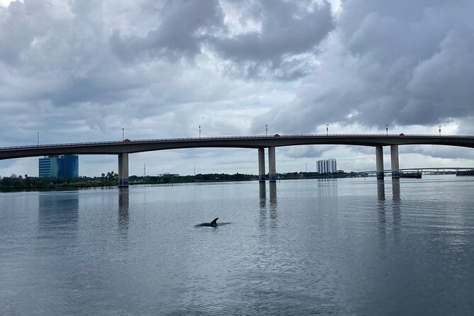 Dolphin and Manatee Stand Up Paddleboard Tour in Daytona Beach - Price and value: is $65 worth it?