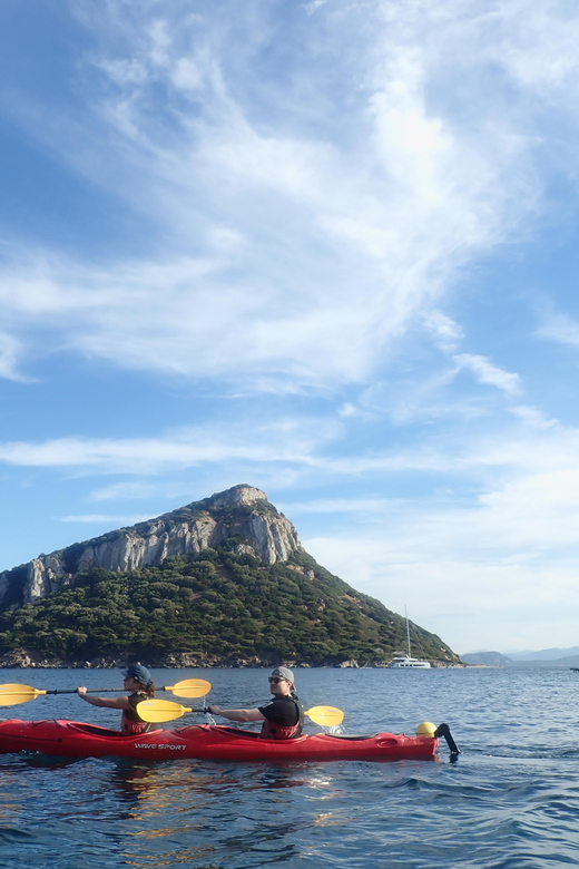 Dolphin Kayak Safari at Sunset at Golfo Aranci - Key highlights you’ll feel immediately
