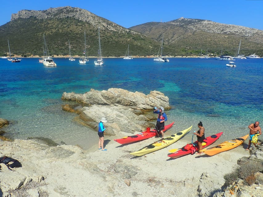 Dolphin Kayak Safari at Sunset at Golfo Aranci - Beginner-friendly pacing: kids, sea kayaks, and real comfort