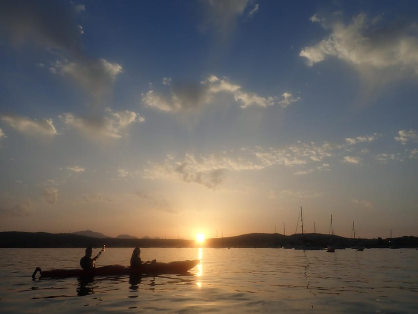 Dolphin Kayak Safari at Sunset at Golfo Aranci - Price and value: what you’re really paying for