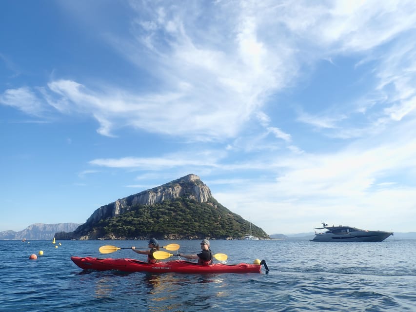 Dolphin Kayak Safari at Sunset at Golfo Aranci - Weather, wind, and the real talk about dolphin sightings