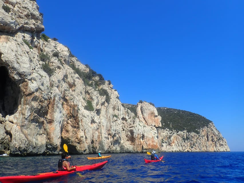 Dolphin Kayak Safari at Sunset at Golfo Aranci - Small group dynamics: why limit 8 is worth it