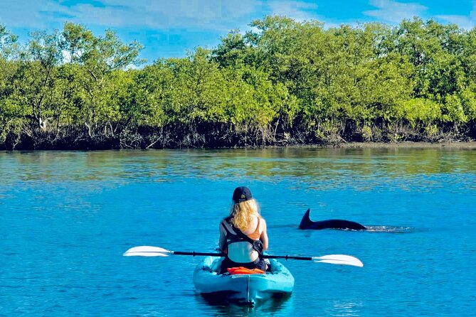 Dolphin, Manatee and Sea Turtle Kayak Adventure - Why St. Augustine is a strong match for dolphin-and-turtle kayaking