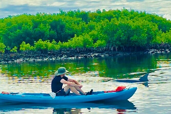 Dolphin, Manatee and Sea Turtle Kayak Adventure - The guides: why names like Ryan, Nolan, and Noah keep showing up