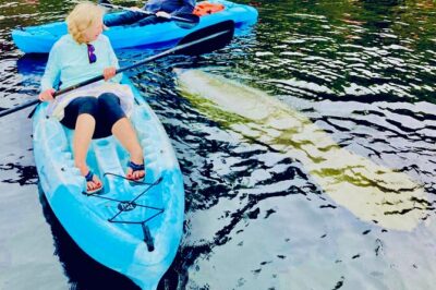 Dolphin, Manatee and Sea Turtle Kayak Adventure - The paddle routine: calm time, clear guidance, and safety-first habits