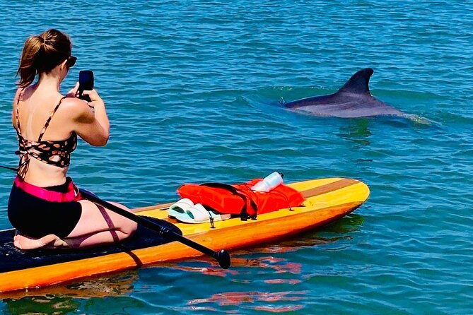 Dolphin, Manatee and Sea Turtle Kayak Adventure - Weather and timing: when wind can shorten the story