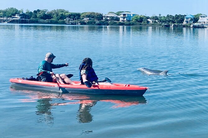 Dolphin, Manatee and SeaTurtle SUP Adventure Tour of St Augustine - Key highlights at a glance