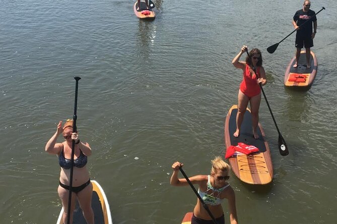 Dolphin, Manatee and SeaTurtle SUP Adventure Tour of St Augustine - When dolphins show up, it’s time to slow down