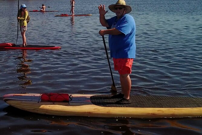 Dolphin, Manatee and SeaTurtle SUP Adventure Tour of St Augustine - Sea turtles and birds: the reliable backup plan